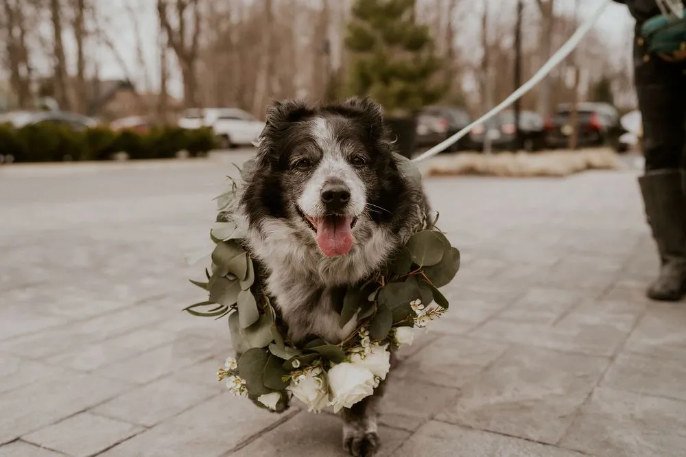 Custom garden landscaping near you across Georgetown, MA - Nunan Florist & Greenhouses