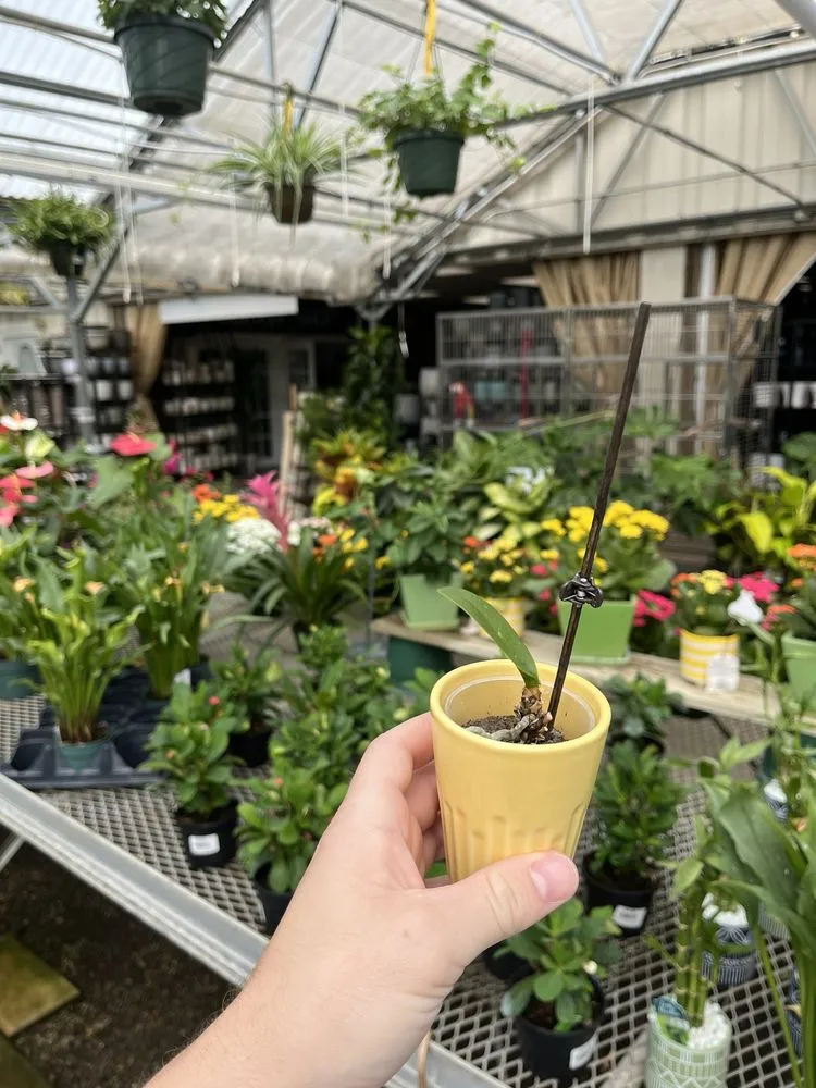 Top-rated landscaping services in Georgetown, MA by Nunan Florist & Greenhouses