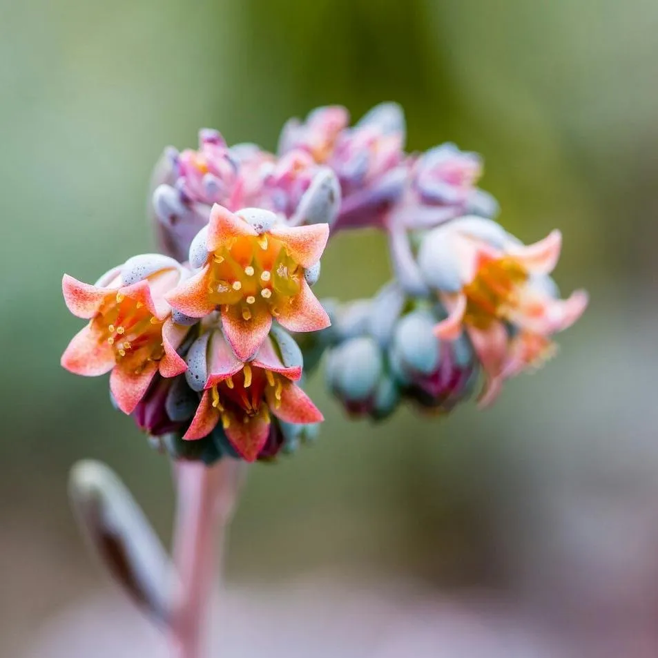 Trusted outdoor landscaping experts serving Georgetown, MA - Nunan Florist & Greenhouses