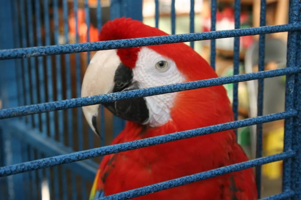 Custom garden landscaping for year-round maintenance across Georgetown, MA - Nunan Florist & Greenhouses