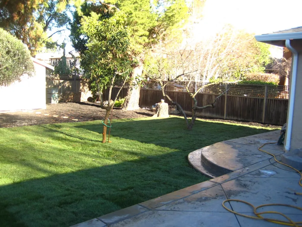 Professional landscape installation for homes in Newark, CA by Nunes Landscape Management