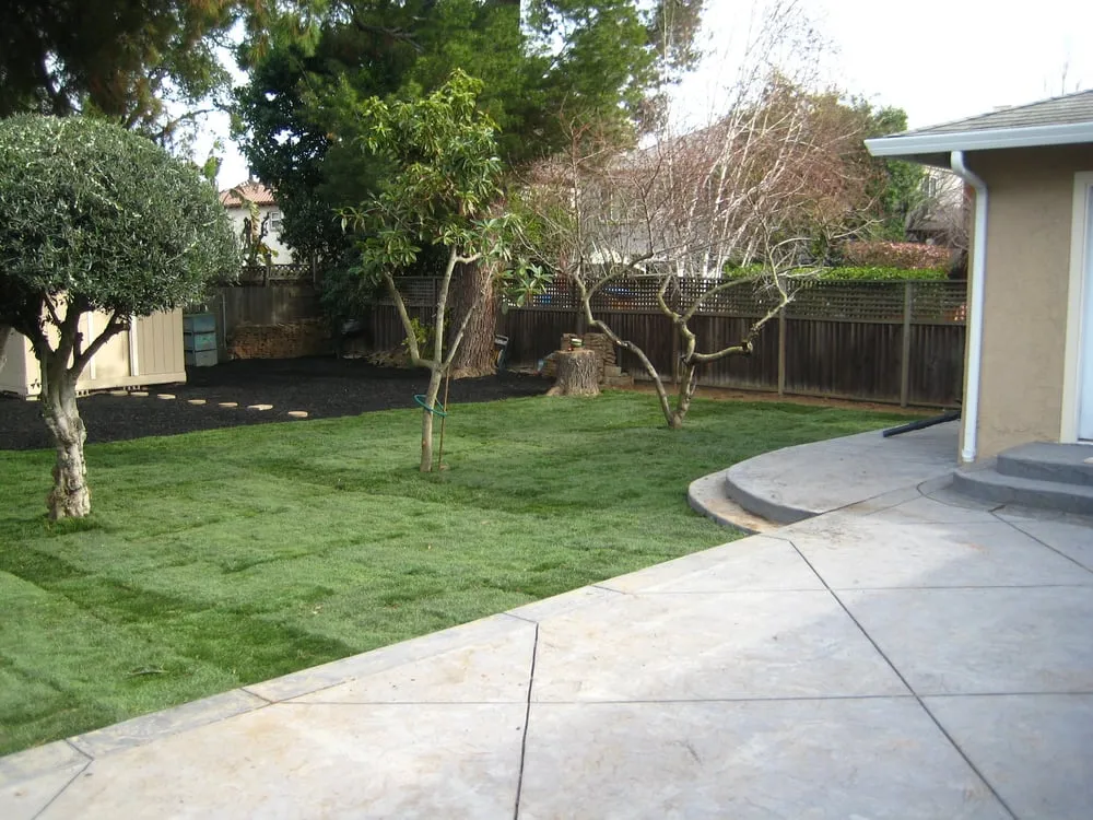 Reliable garden landscaping for beautiful yards across Newark, CA - Nunes Landscape Management