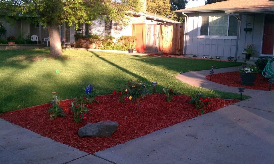 Trusted landscape design for year-round maintenance in Newark, CA by Nunes Landscape Management