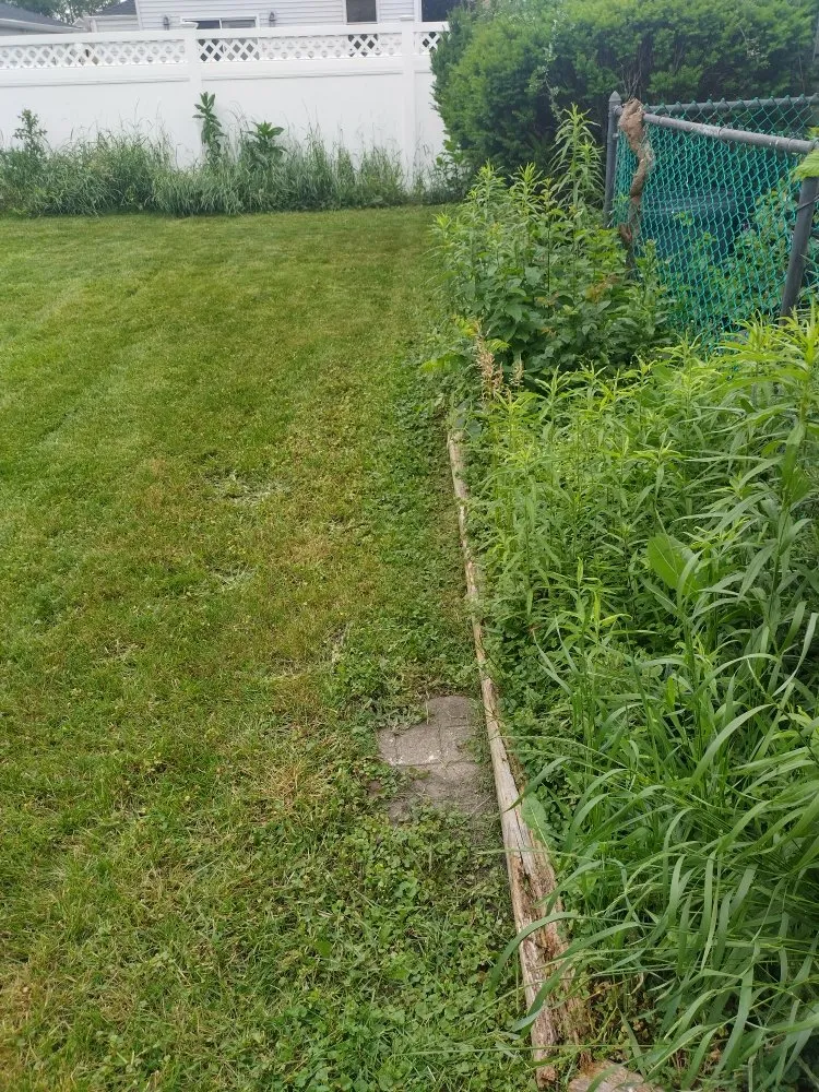 Top-rated residential landscaping near you in Berkeley, IL by Nunez Bros Lawncare