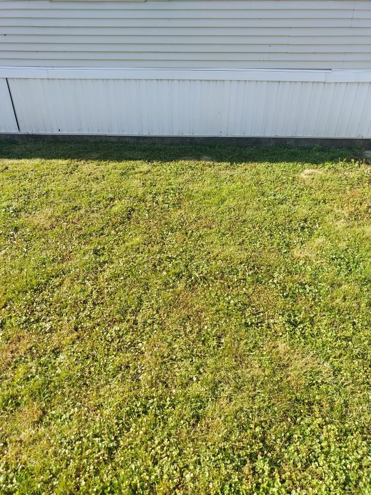 Trusted yard maintenance in Berkeley, IL by Nunez Bros Lawncare