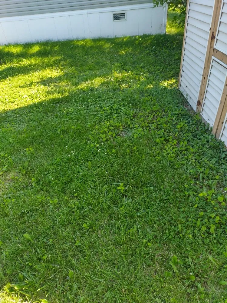 Custom yard maintenance in Berkeley, IL by Nunez Bros Lawncare