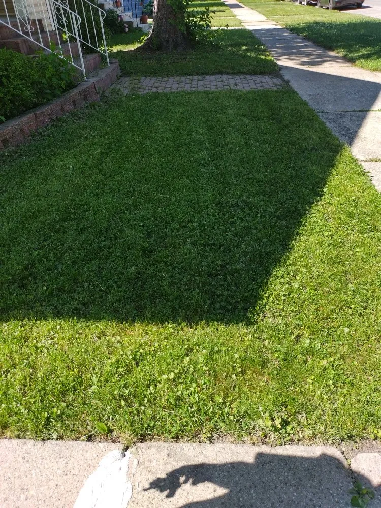 Top-rated lawn care service in Berkeley, IL by Nunez Bros Lawncare