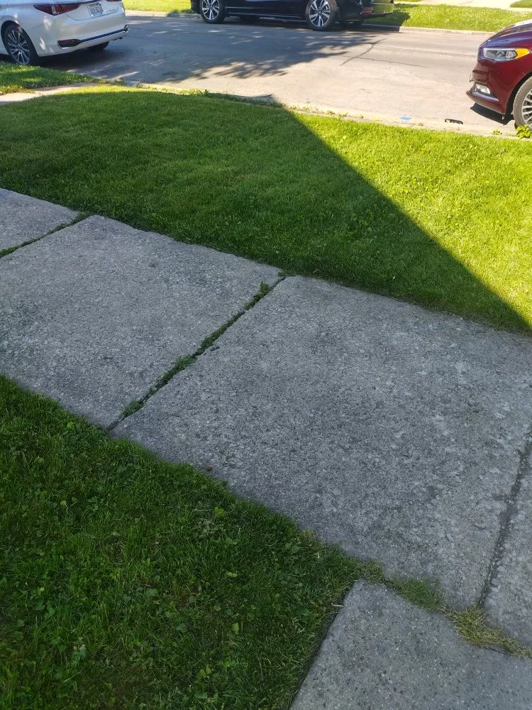 Custom garden landscaping experts serving Berkeley, IL - Nunez Bros Lawncare