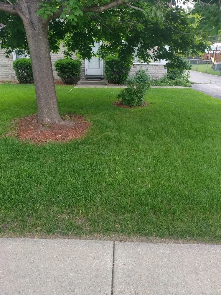 Affordable landscape design in Berkeley, IL - Nunez Bros Lawncare