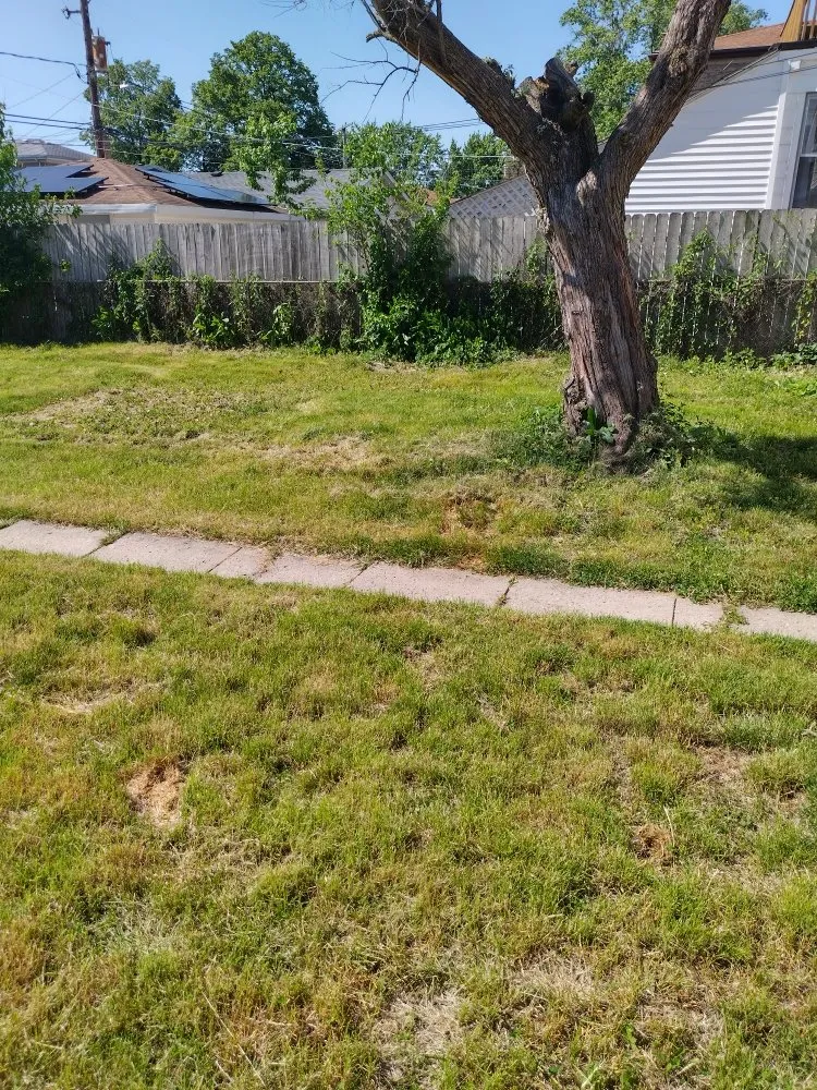 Reliable outdoor landscaping for residential properties across Berkeley, IL - Nunez Bros Lawncare