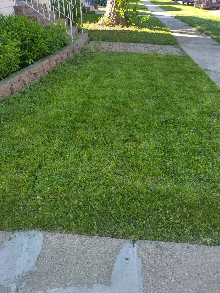 Professional lawn mowing service experts serving Berkeley, IL - Nunez Bros Lawncare