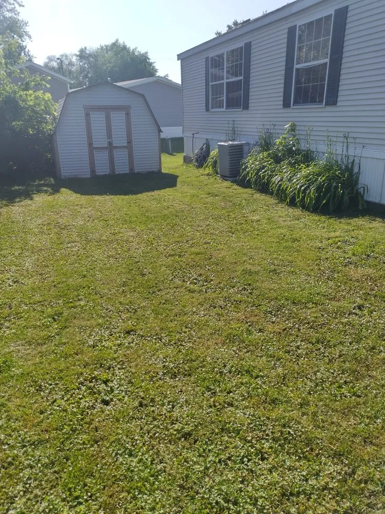 Local yard cleanup service experts serving Berkeley, IL - Nunez Bros Lawncare