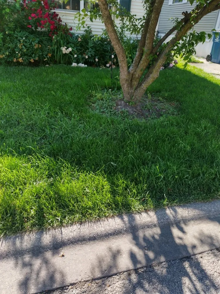 Professional landscape design experts serving Berkeley, IL - Nunez Bros Lawncare