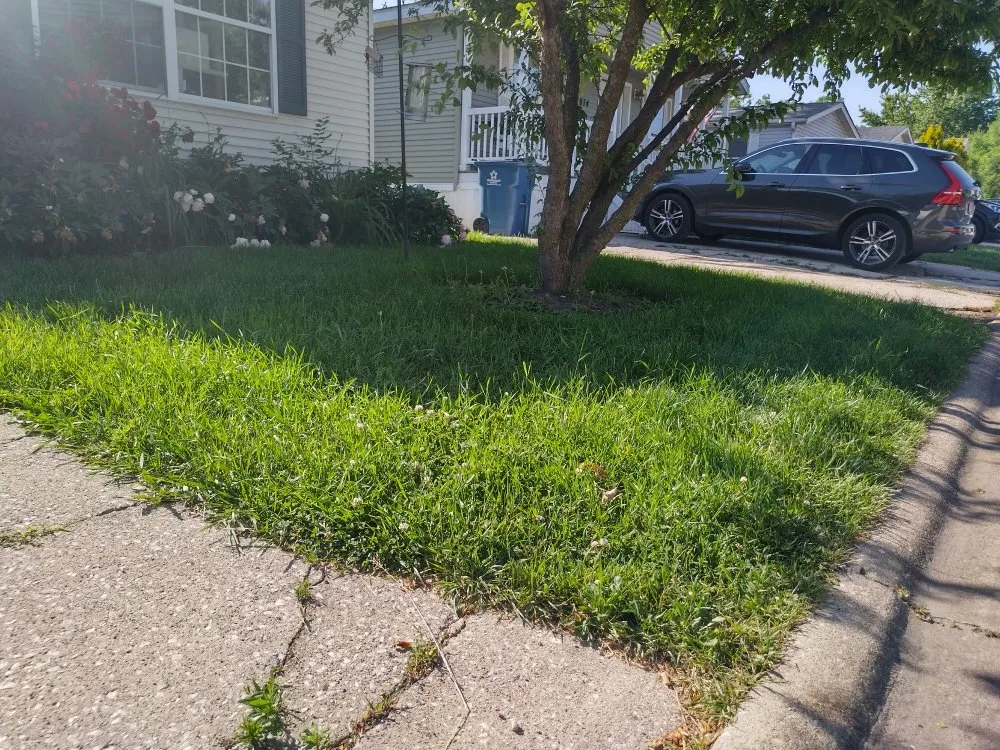 Affordable lawn mowing service for beautiful yards across Berkeley, IL - Nunez Bros Lawncare