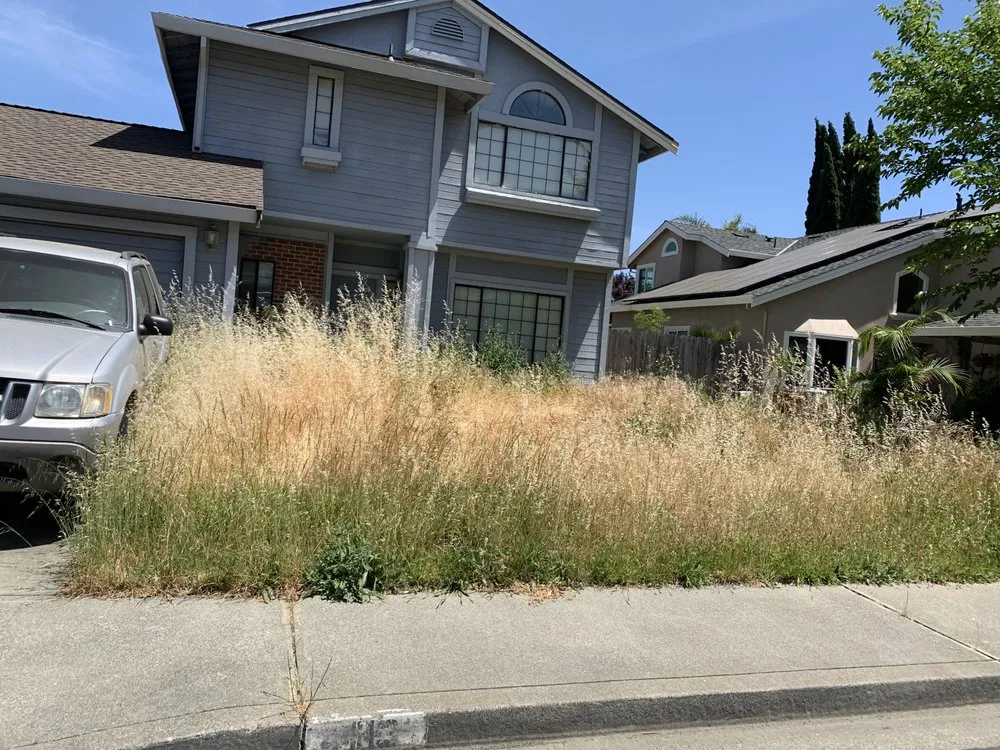 Expert landscape design in Fairfield, CA - Nunez concrete