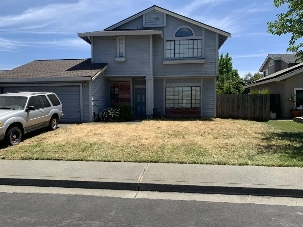 Trusted yard cleanup service experts serving Fairfield, CA - Nunez concrete