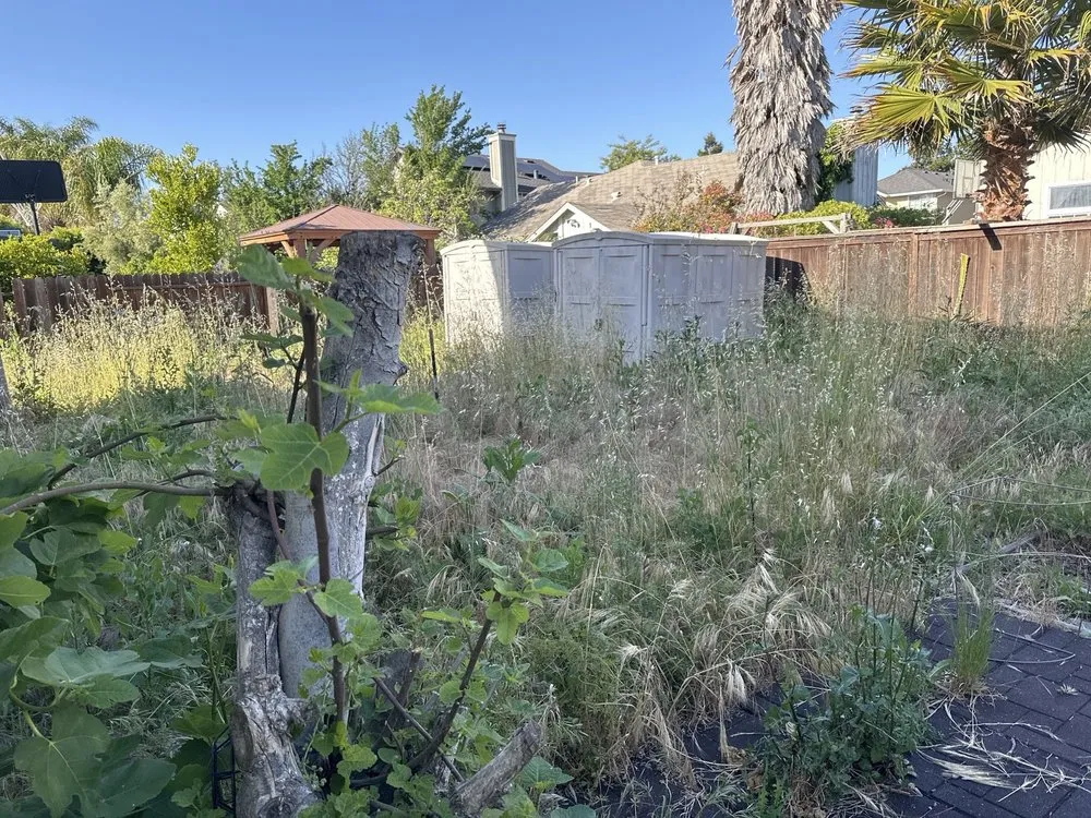 Professional landscaping services with custom design in Fairfield, CA by Nunez concrete