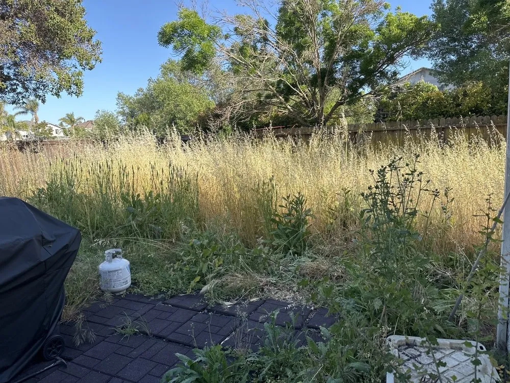 Reliable lawn care service for year-round maintenance across Fairfield, CA - Nunez concrete