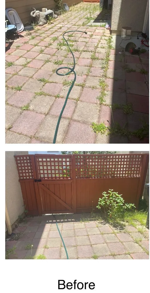 Local landscape design for year-round maintenance in Fairfield, CA by Nunez concrete