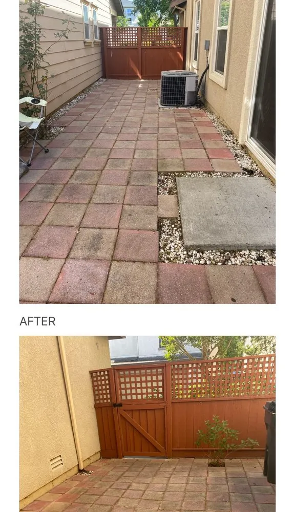 Professional lawn care service for year-round maintenance in Fairfield, CA by Nunez concrete