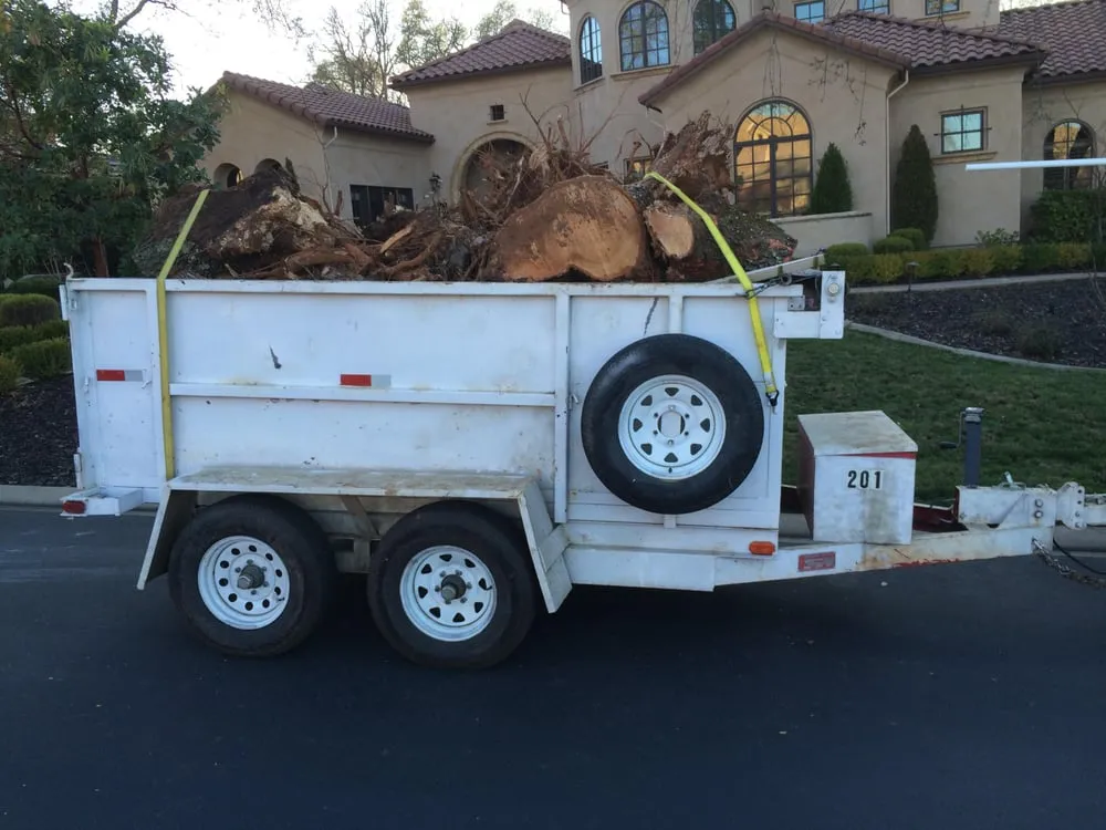 Trusted landscape installation in Shingle Springs, CA - Nunez concrete
