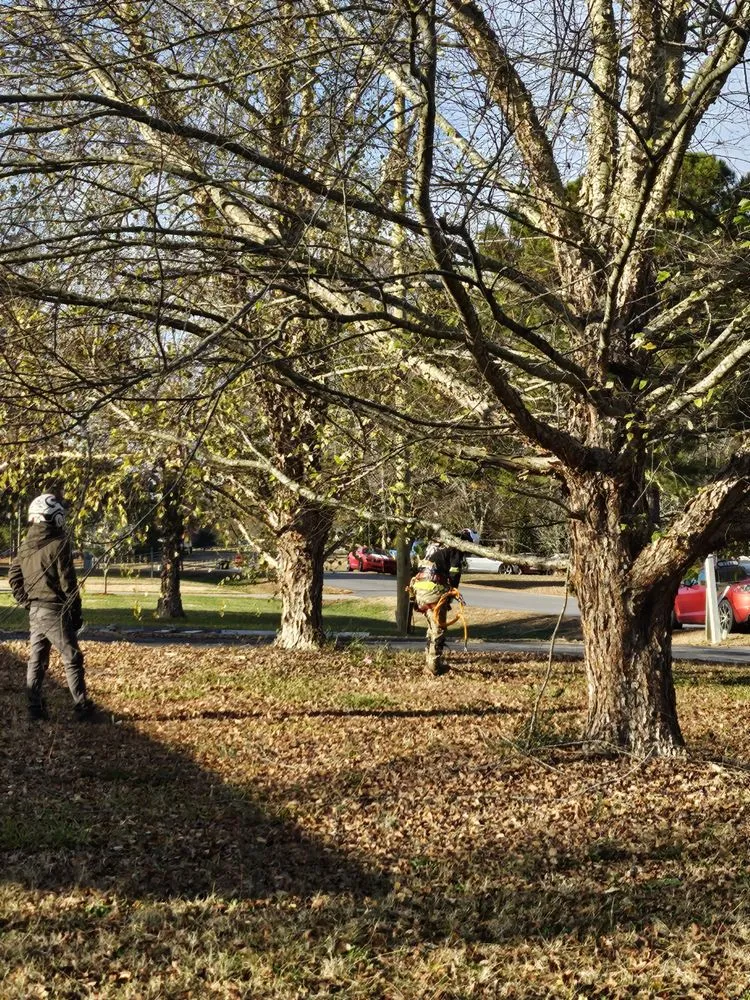 Reliable landscape installation near you across Durham, NC - Nunez Family Landscaping