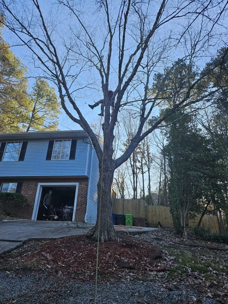 Professional garden landscaping in Durham, NC - Nunez Family Landscaping