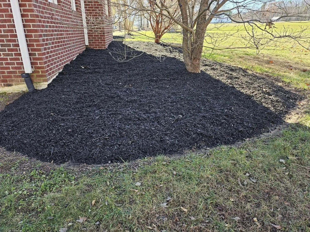 Professional yard cleanup service experts serving Durham, NC - Nunez Family Landscaping