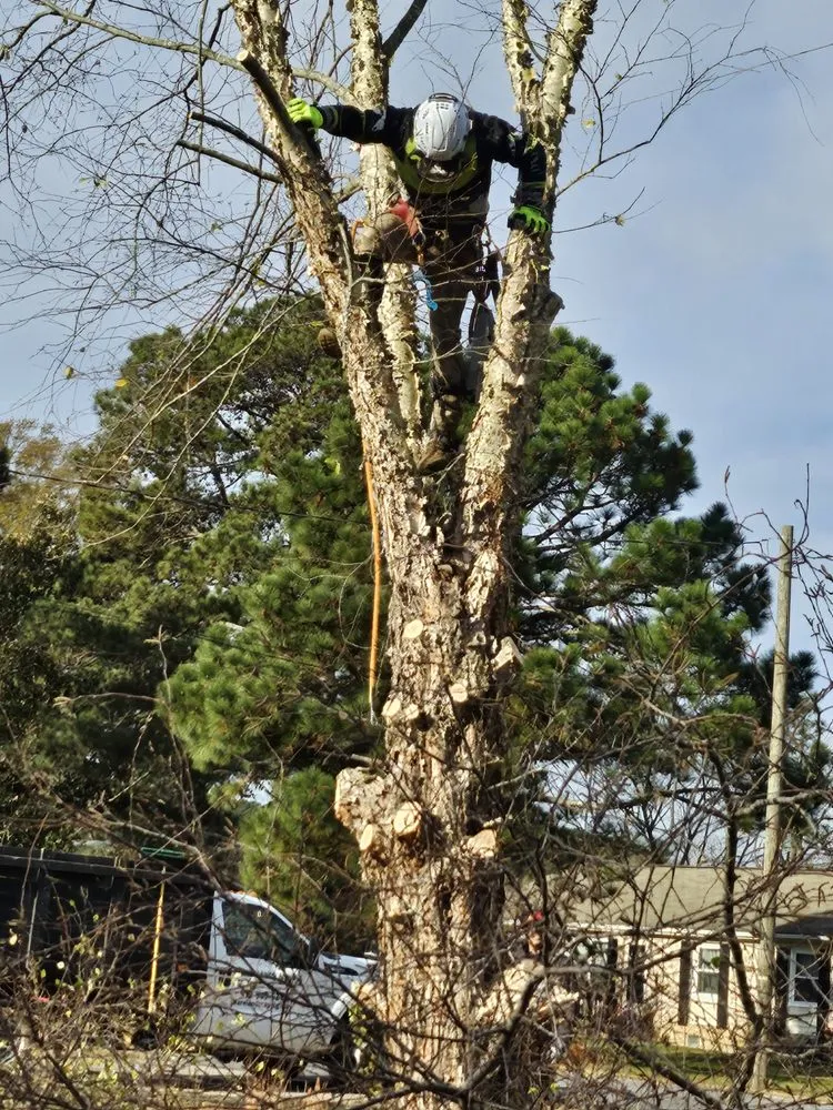 Professional garden landscaping with custom design in Durham, NC by Nunez Family Landscaping