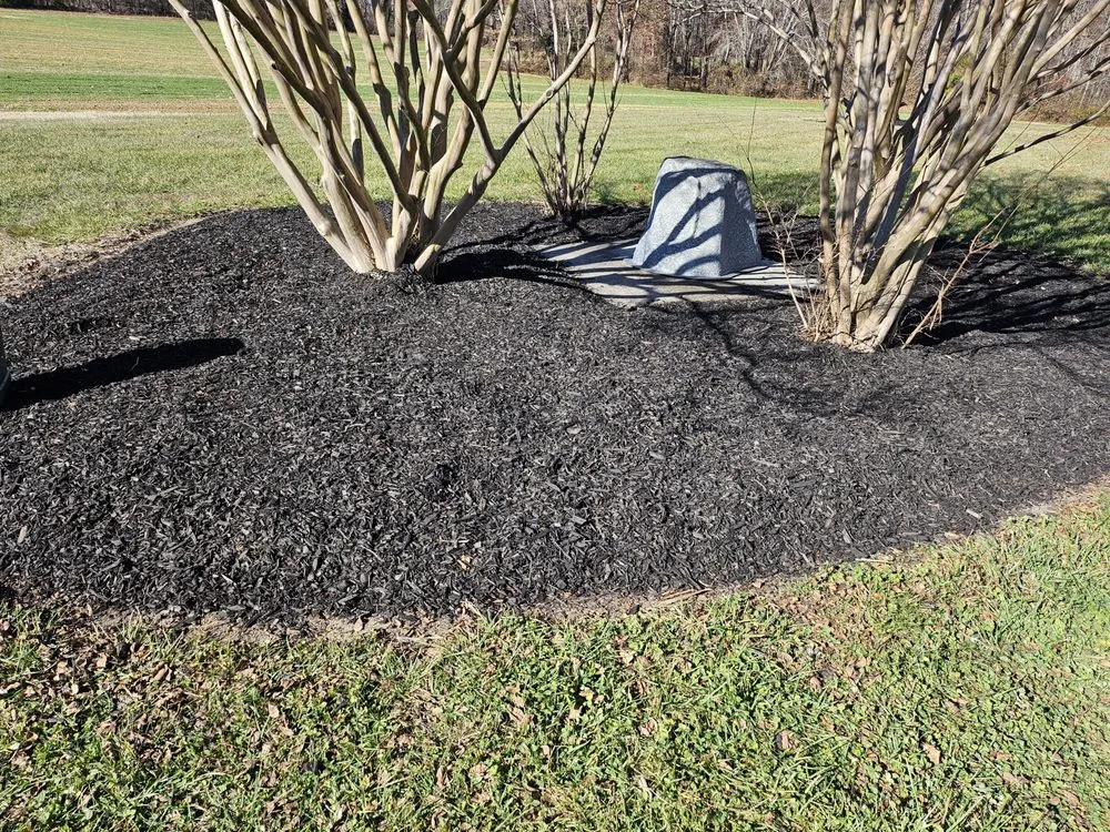 Local lawn mowing service in Durham, NC by Nunez Family Landscaping