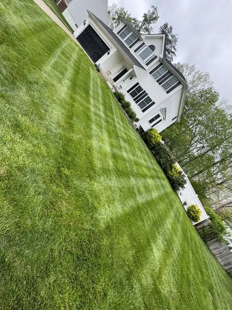 Local landscape design for beautiful yards across Locust Grove, VA - Nunez Garcia Landscaping