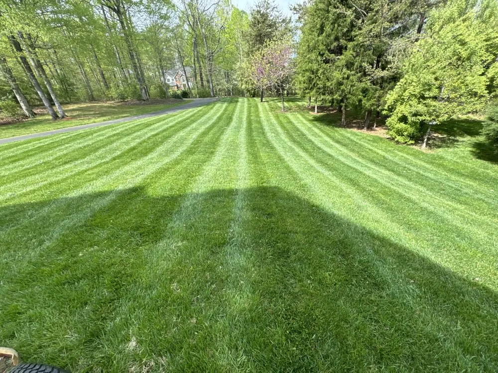Local landscape installation for homes in Locust Grove, VA by Nunez Garcia Landscaping