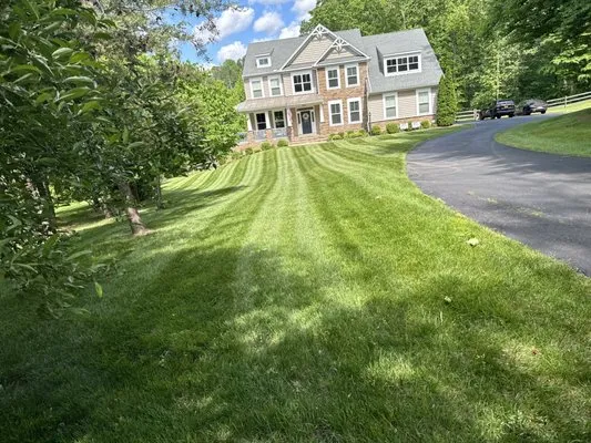 Nunez Garcia Landscaping Logo