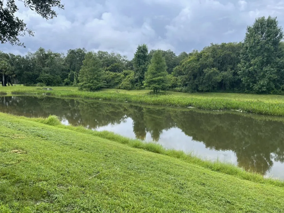 Expert landscaping services for residential properties in Palmetto, FL by Nunez Land Service