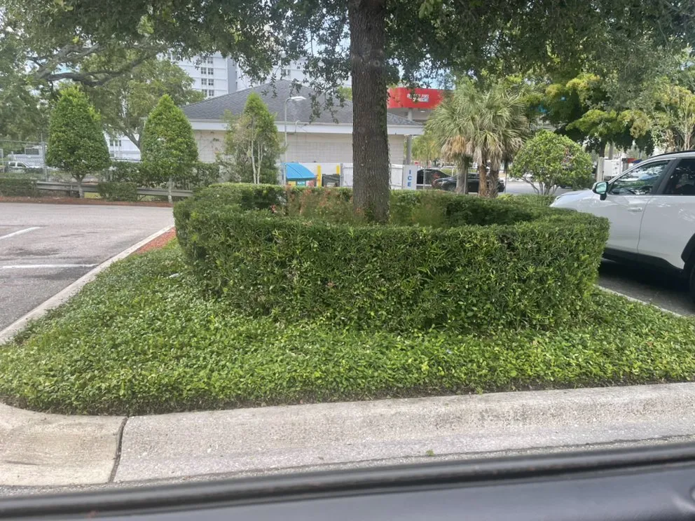 Reliable garden landscaping for residential properties across Palmetto, FL - Nunez Land Service