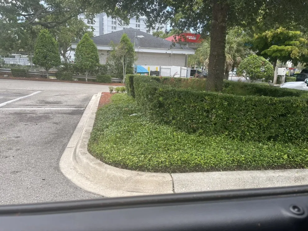 Trusted residential landscaping for residential properties across Palmetto, FL - Nunez Land Service