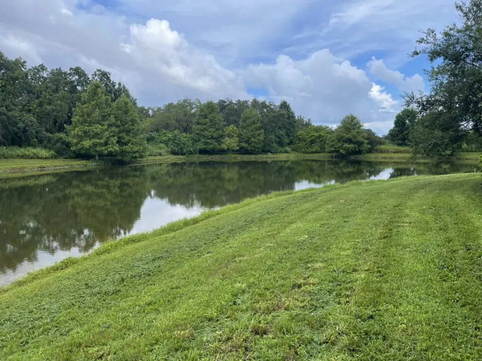 Affordable residential landscaping for outdoor upgrades across Palmetto, FL - Nunez Land Service