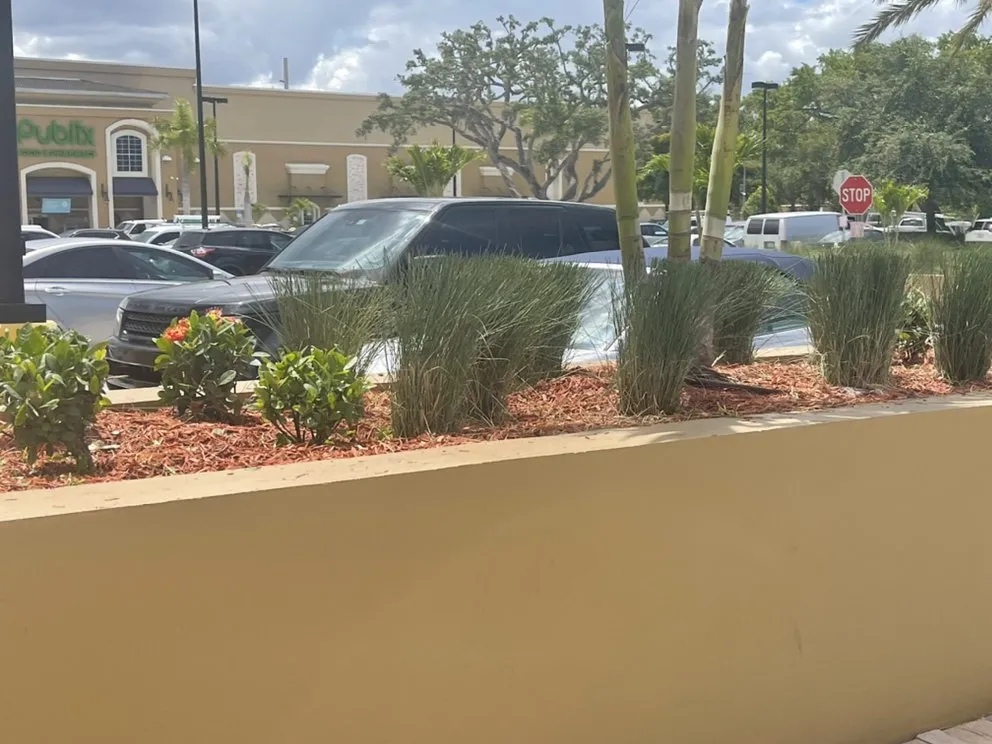 Custom yard maintenance experts serving Palmetto, FL - Nunez Land Service