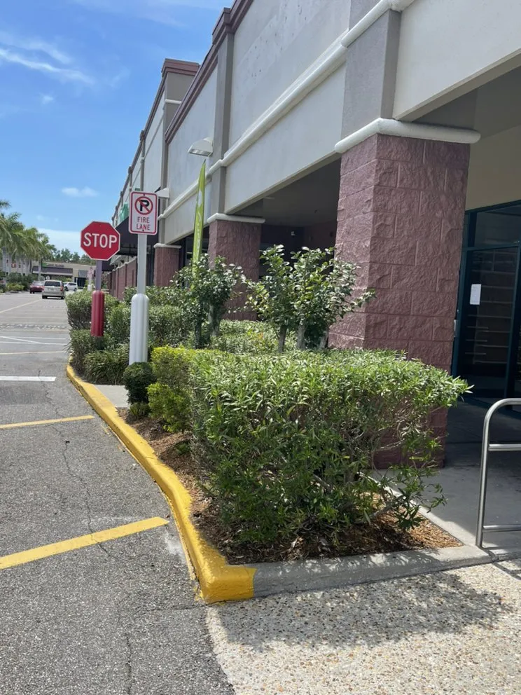 Top-rated landscape installation for outdoor upgrades in Palmetto, FL by Nunez Land Service