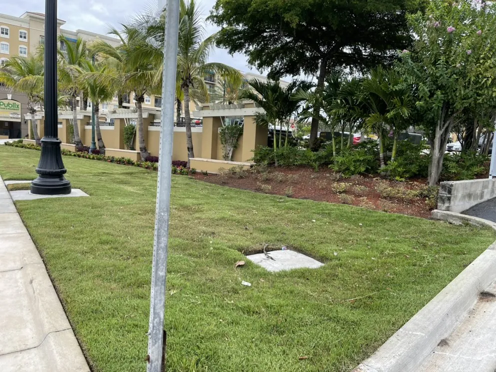 Trusted lawn care service for beautiful yards across Palmetto, FL - Nunez Land Service