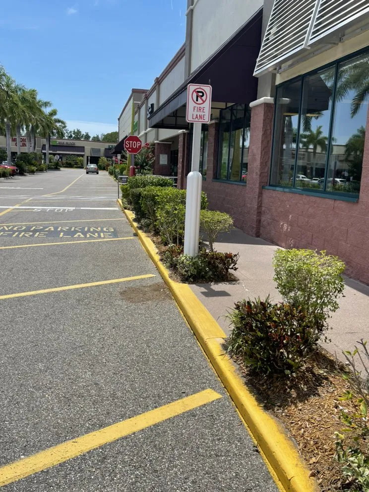 Affordable landscaping services in Palmetto, FL by Nunez Land Service