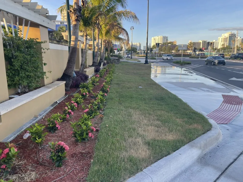 Local lawn mowing service experts serving Palmetto, FL - Nunez Land Service