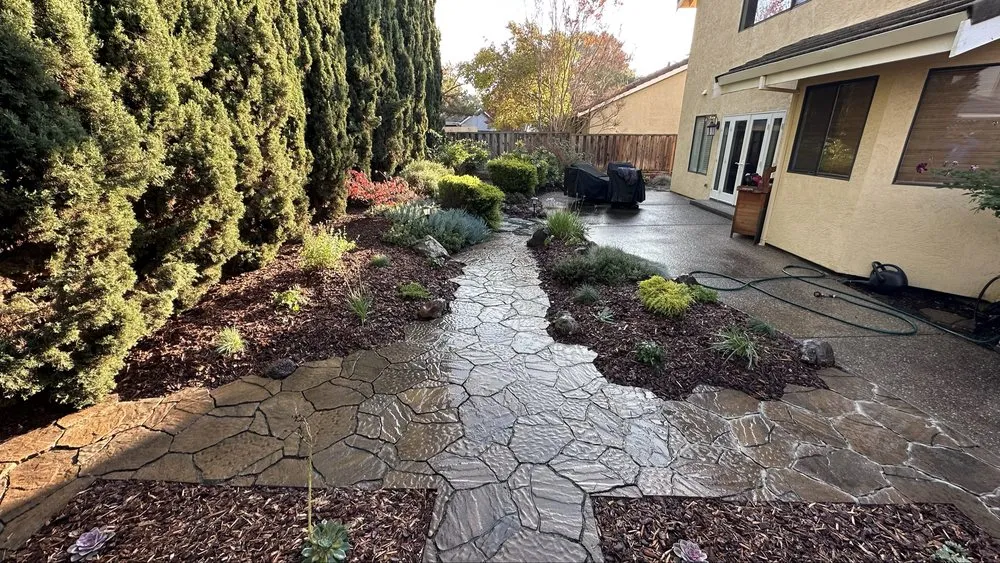 Reliable yard maintenance with custom design in Manteca, CA by Nunez Landscape Services