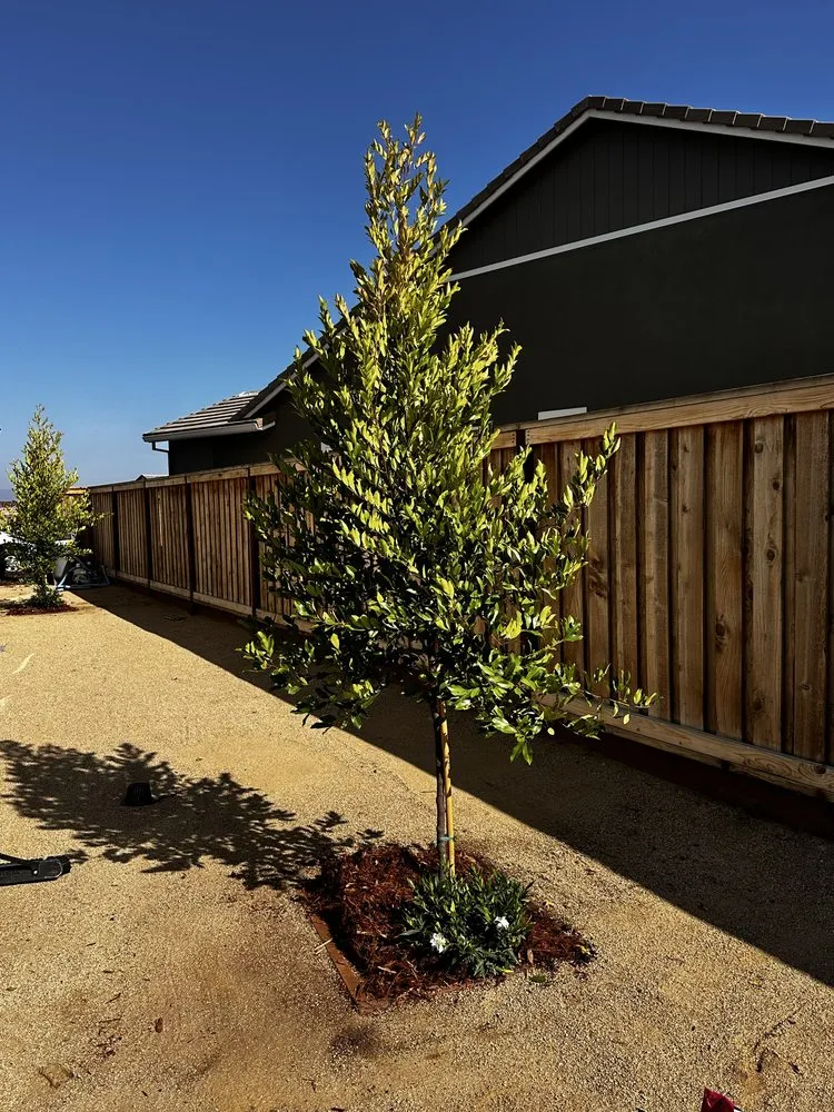 Local landscape installation for outdoor upgrades in Manteca, CA by Nunez Landscape Services