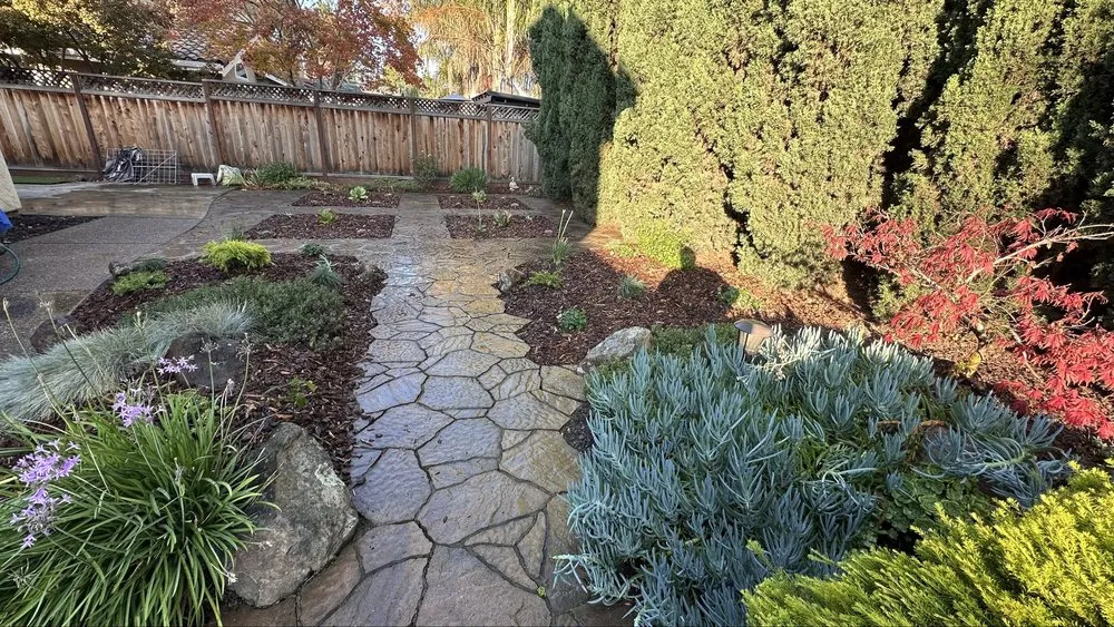 Reliable lawn care service with custom design in Manteca, CA by Nunez Landscape Services