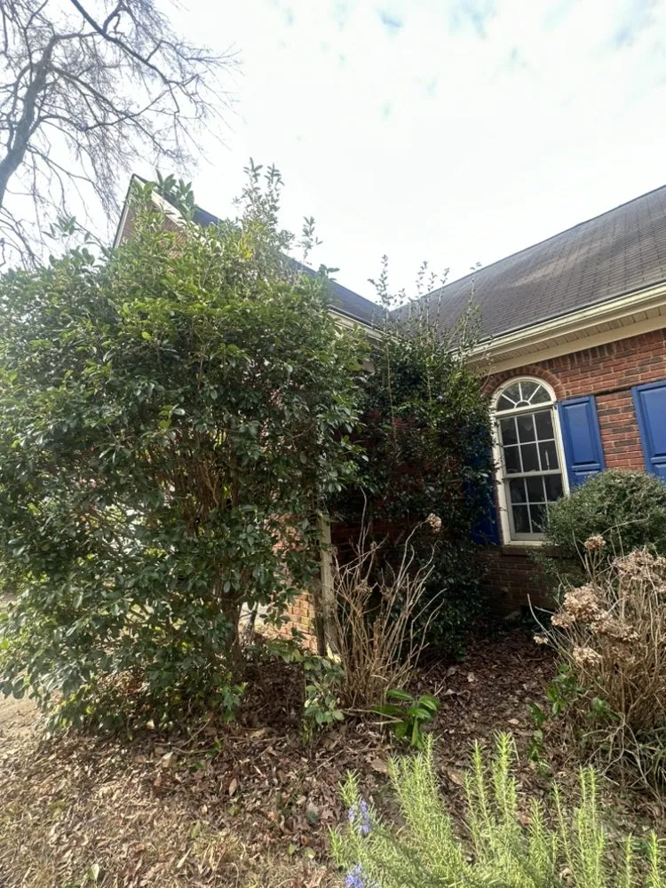 Affordable yard cleanup service near you in Leesville, SC by Nunez Landscaping