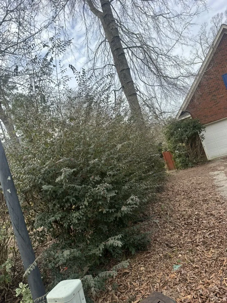 Local outdoor landscaping in Leesville, SC - Nunez Landscaping