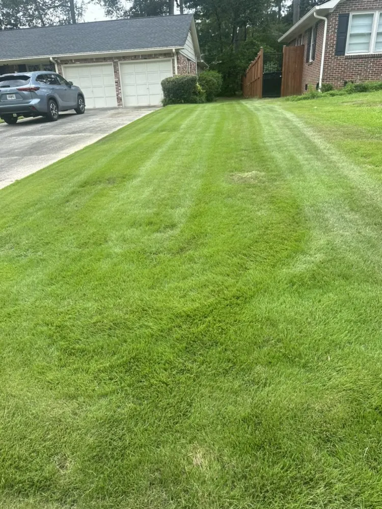 Trusted landscape installation in Leesville, SC by Nunez Landscaping