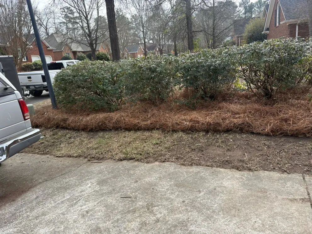 Trusted lawn care service with custom design across Leesville, SC - Nunez Landscaping