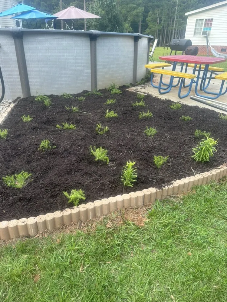 Affordable yard cleanup service for year-round maintenance across Leesville, SC - Nunez Landscaping